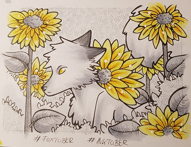 IMG_20181003_113856_658