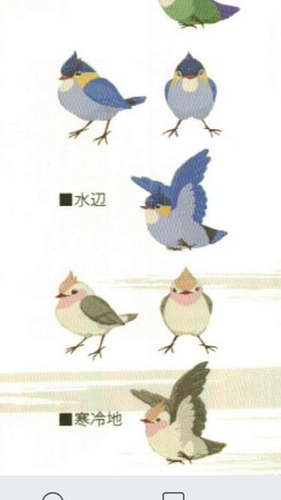 Screenshot_2018-11-19-12-06-12