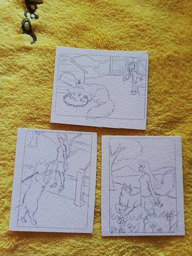 IMG_20190831_121646_1