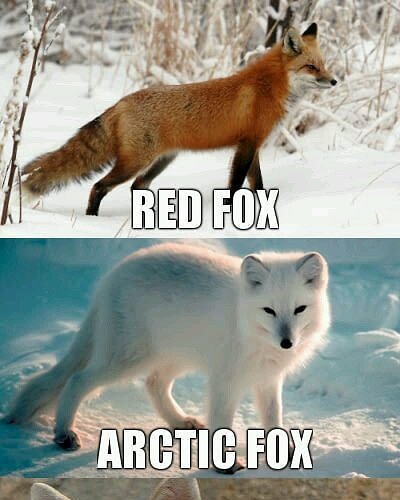 59a9348d329b9a10b8fe73d676fa840b