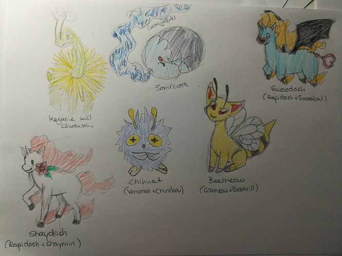 69797336_891825654925910_6590746685738057728_n