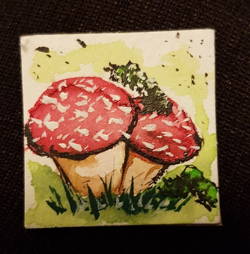 20181211_072838%20(002)