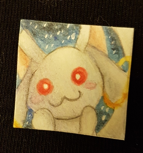 20181210_073203%20(002)