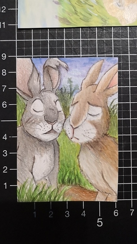 IMG_20190427_203747_627