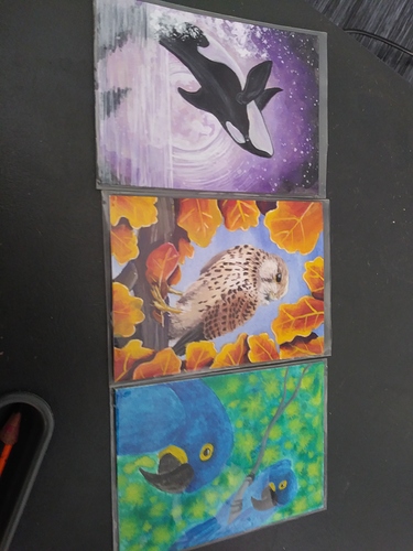 15412505189731419344525914672456