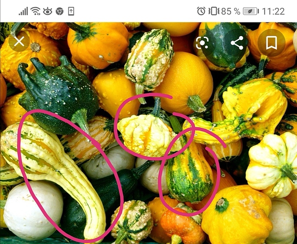 Screenshot_20191031_125123