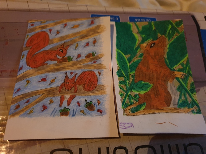 15570655831064921658269826061811