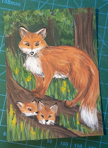 IMG_20190719_204830-1