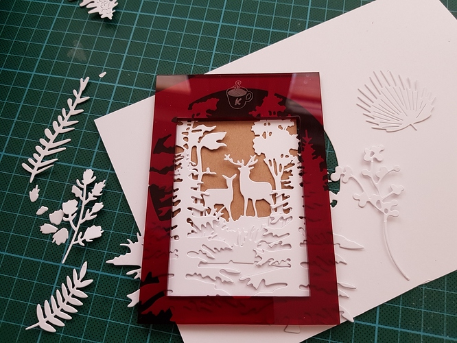 20190828_153141_resized