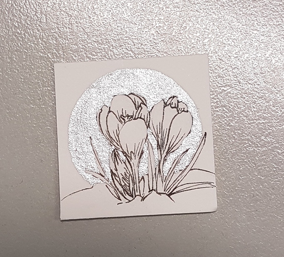 20181221_092638%20(002)