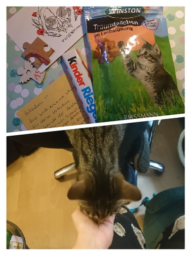 collage-1544864083075