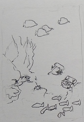 IMG_20190819_084722%20(2)