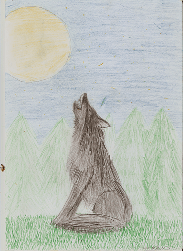 Wolf%202004
