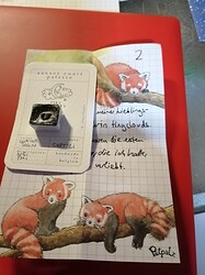 IMG_20211201_1921591