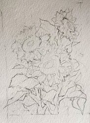 IMG_20240401_144211_edit_28228473959233