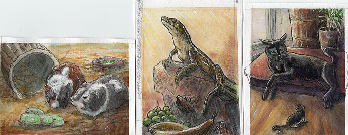 Mal-Mein-Tier-STA-Scan-ungeschnitten