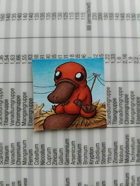 WhatsApp Image 2020-12-24 at 10.27.57