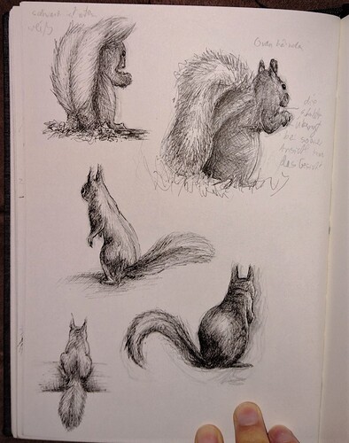 IMG_20220525_185601524 (2)