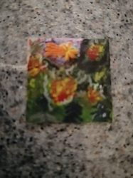 IMG_20201211_0436401