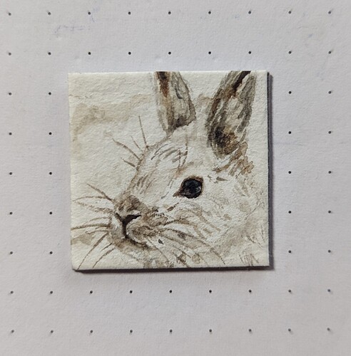 PXL_20221205_051446792