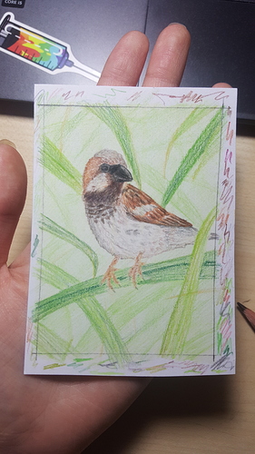 1585595028975288488564