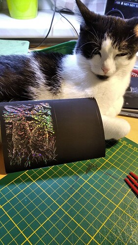 photo_2022-01-19_17-42-51