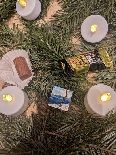 PXL_20241217_083121496