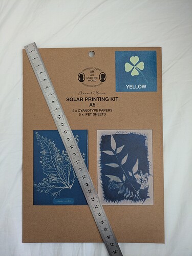 PXL_20251202_120525149