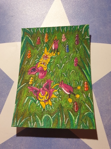 16041824618851647175531761441618