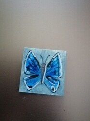 IMG_20211216_1700571