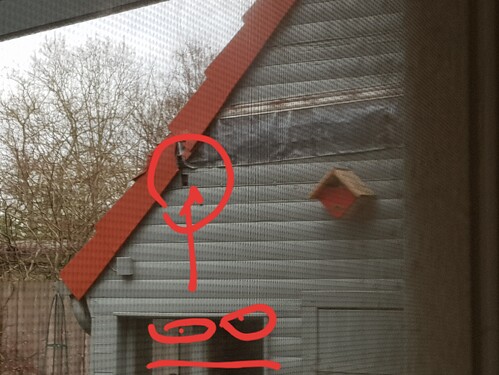 20230107_132740_resized