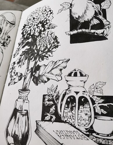 IMG_20240929_132551_edit_230975241565796