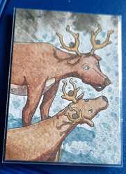 WhatsApp Image 2022-11-27 at 11.18.15(1)