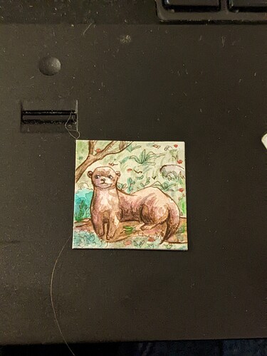 PXL_20221202_073403591.PORTRAIT