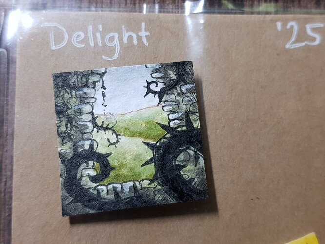 20250222_180205_resized