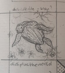 IMG_20240904_162844_edit_2892038684593593