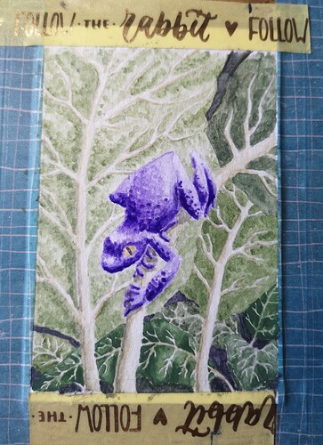 IMG_20240512_180829_edit_2726764583531313