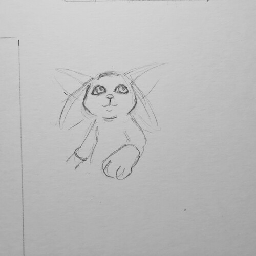 IMG_20250826_211919-01