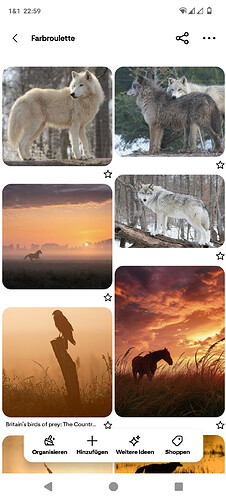 Screenshot_20250616-225959