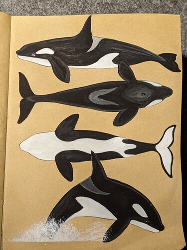 PXL_20240202_200437857~2