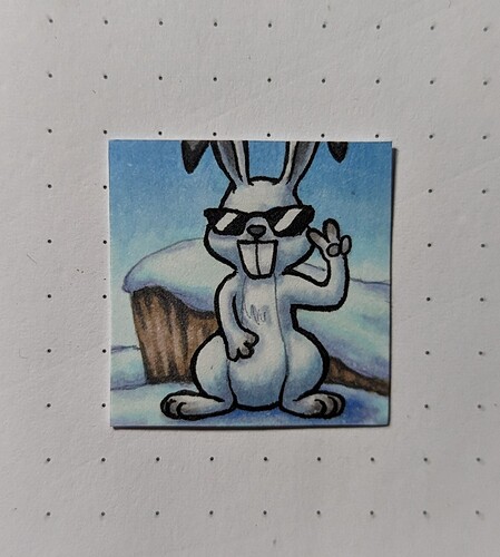 PXL_20221224_073335392