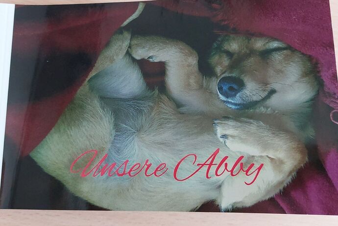 IMG_20220601_000659_723