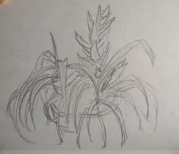 IMG_20240304_145454_edit_283826711311898