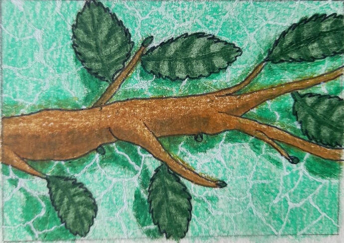 20240414_133017_Original