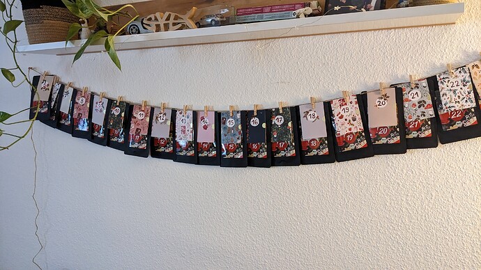 PXL_20231204_091407176