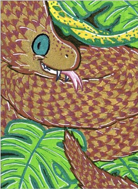 Screenshot_20251116_190705_Chrome