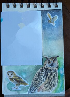 PXL_20240115_141305025~2