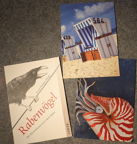 PXL_20260113_145634739