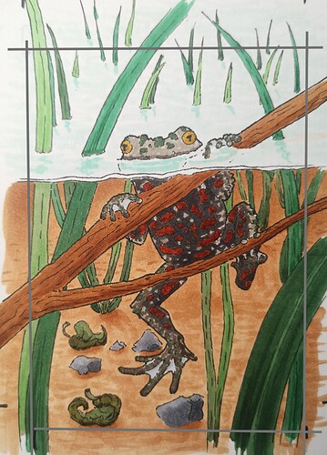 IMG_20230425_125212_edit_1596954314399025