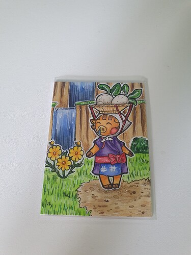 16209885128055637301265021917207